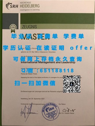 《都柏林理工学院文凭：开启全球认可的学术之门》
