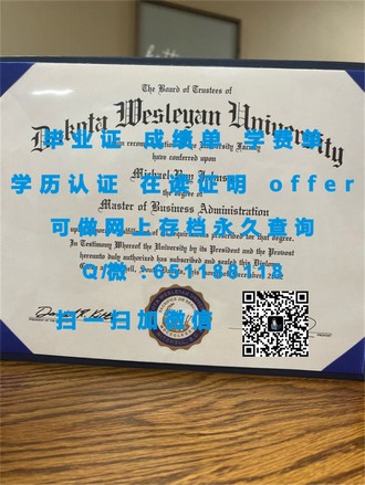 《爱尔兰卡罗理工学院文凭：开启你未来职业的黄金钥匙》